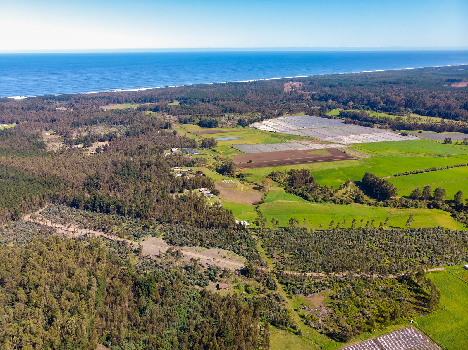 Bosques de Chanco con el océano Pacífico al fondo