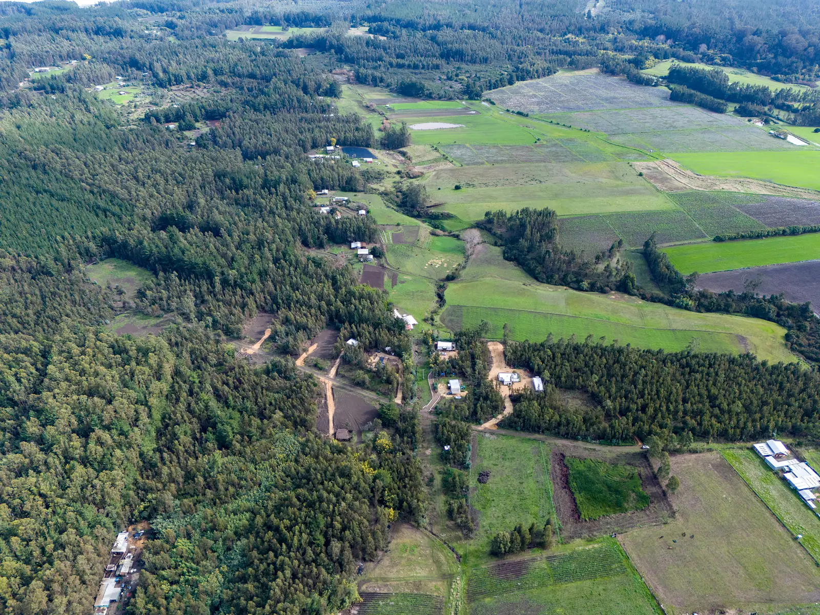 Bosques y campos alrededor de las parcelas