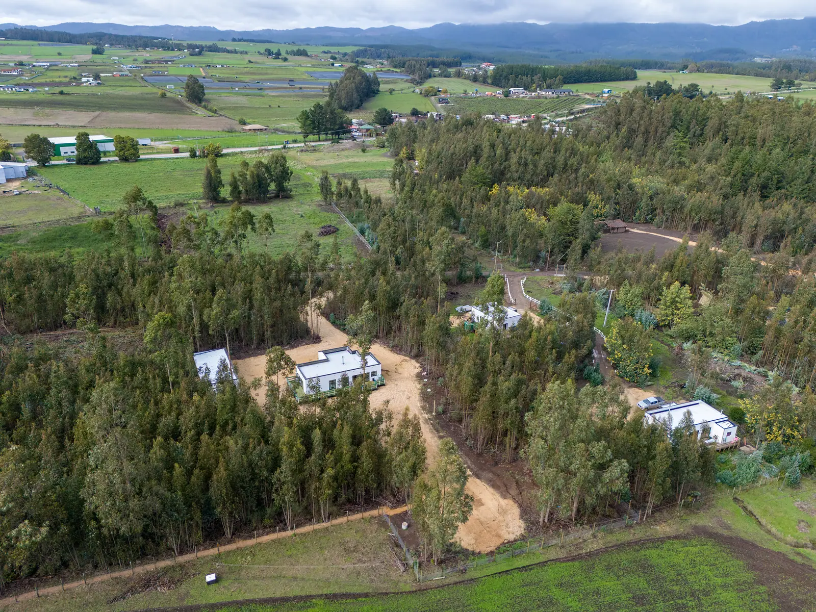 Casas del loteo entre eucaliptos
