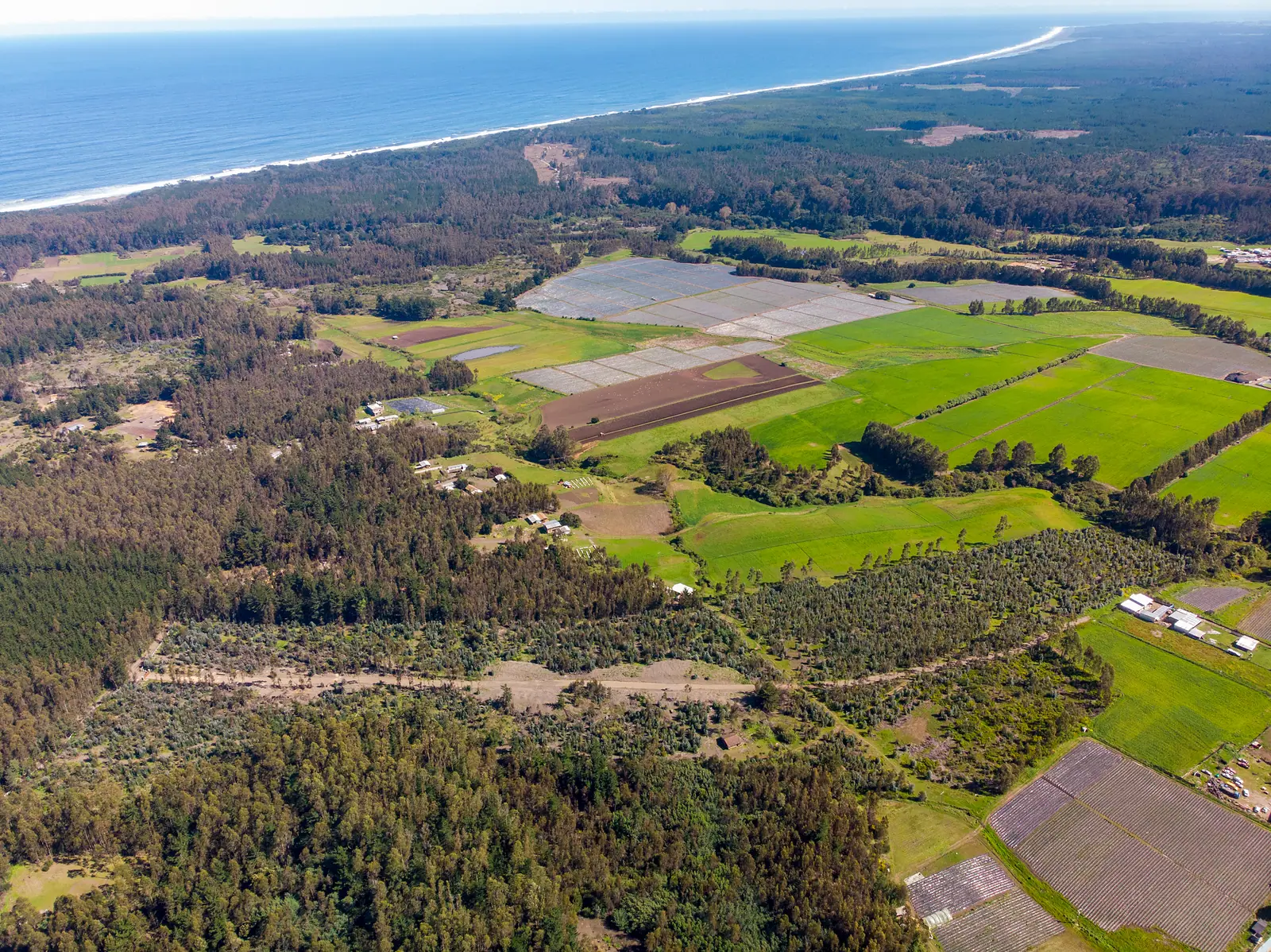 Vista aérea del sector con praderas, bosques de eucaliptos y la costa de Chanco al fondo