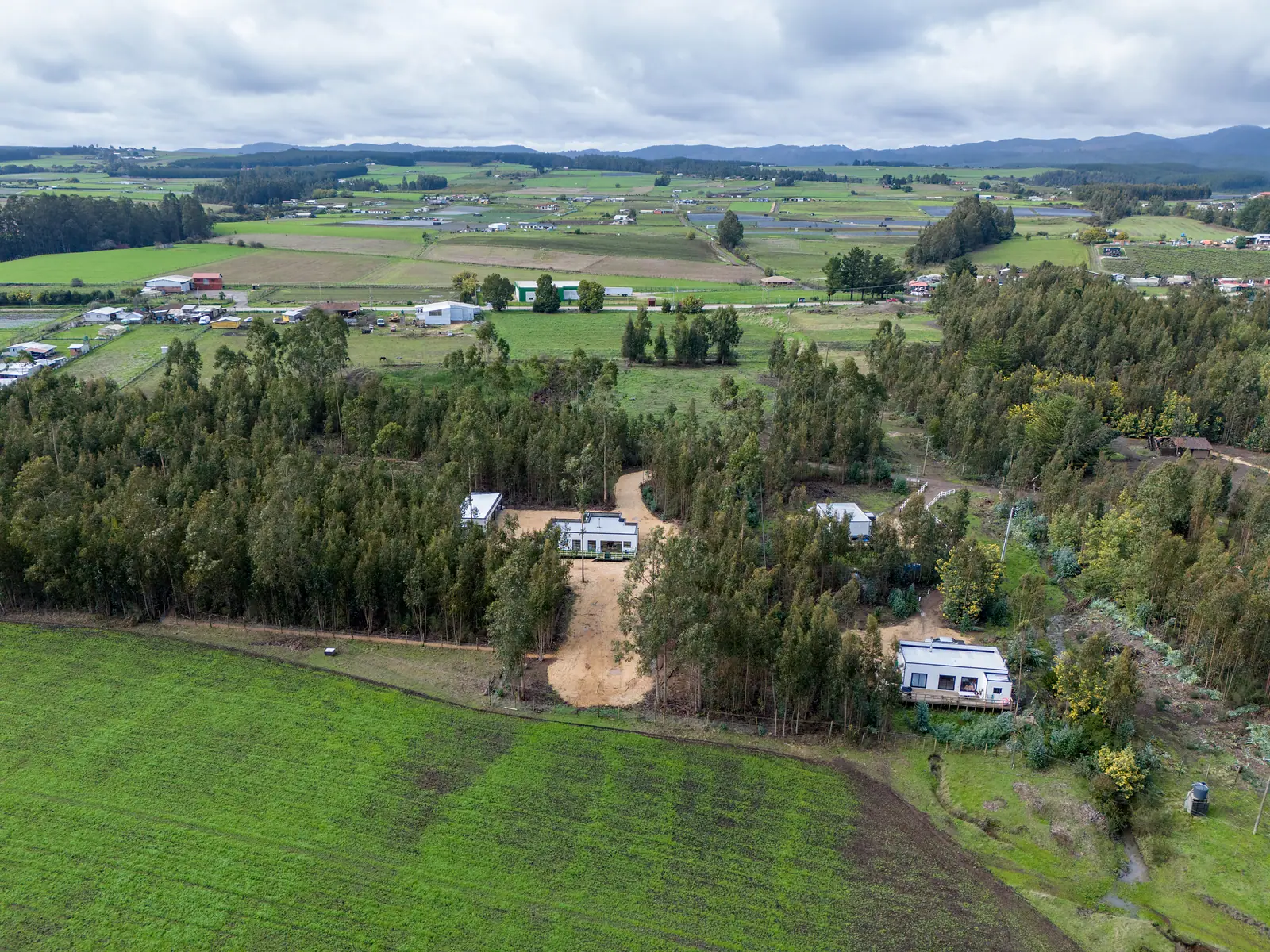 Pradera junto a las casas del loteo