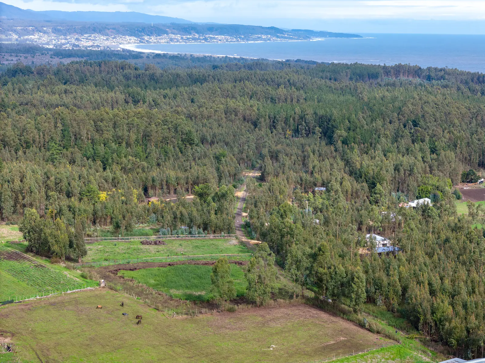 Las parcelas en Chanco desde el aire, con la bahía de Pelluhue al fondo