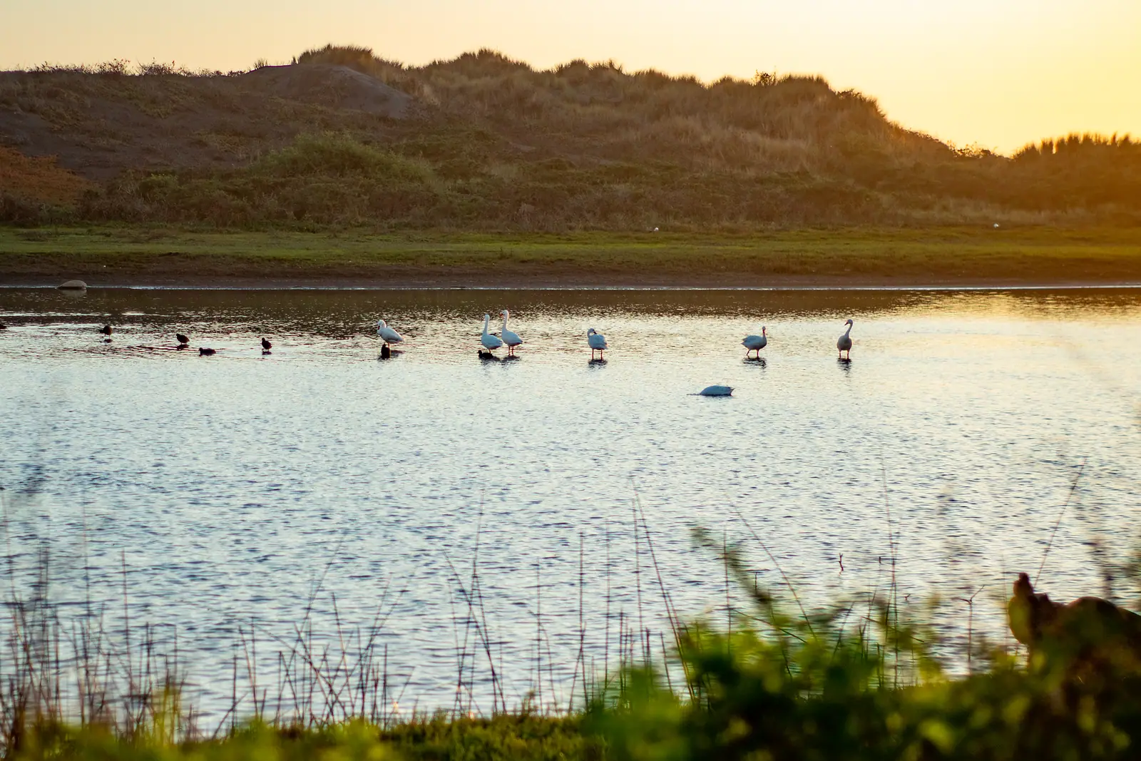 Río Rahue, cerca de Chanco